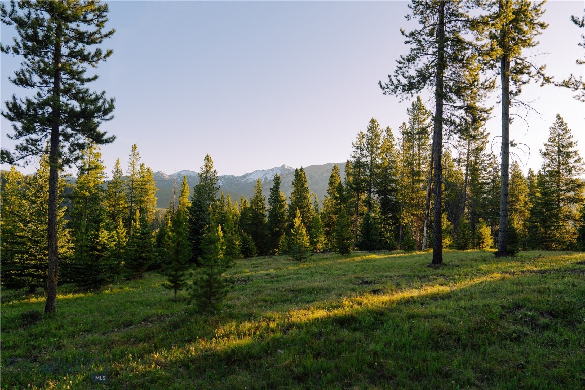 Lot 205 Outlook Trail Property Photo 8
