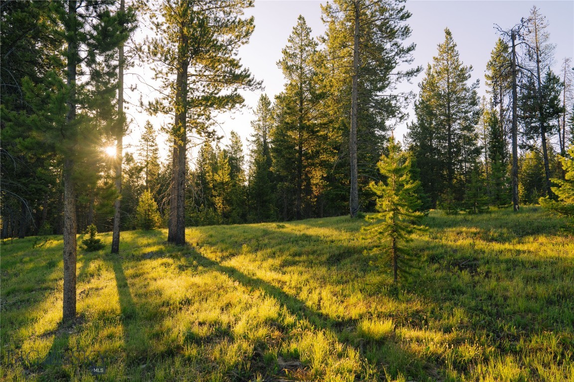 Lot 205 Outlook Trail Property Photo 9