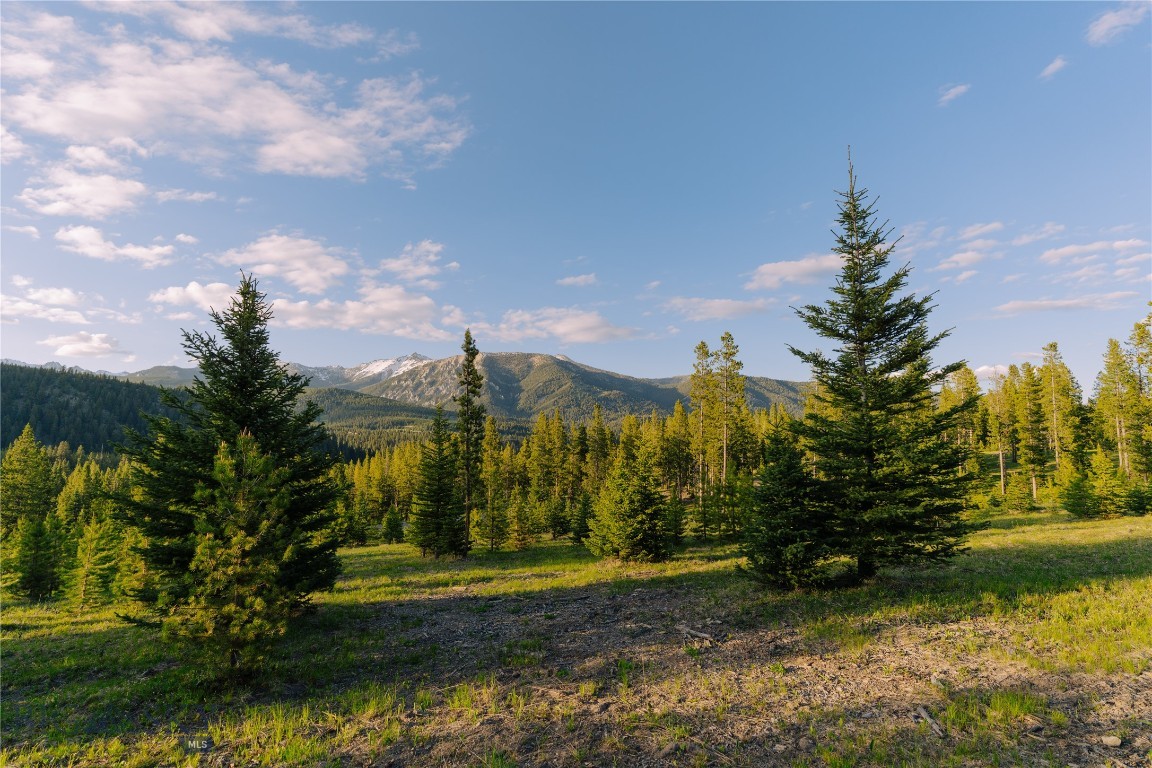 Lot 205 Outlook Trail Property Photo 10