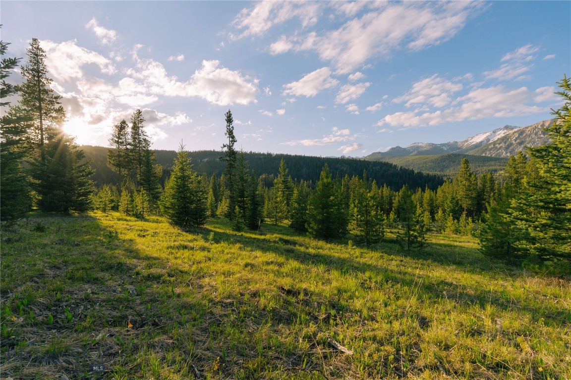 Lot 205 Outlook Trail Property Photo 11