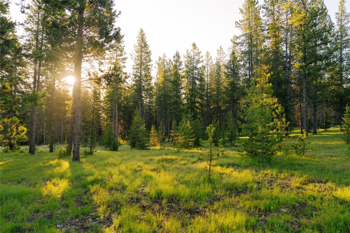 Lot 205 Outlook Trail Property Photo 13