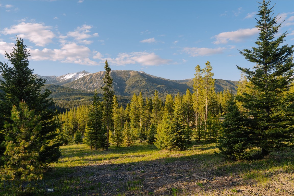 Lot 205 Outlook Trail Property Photo 17