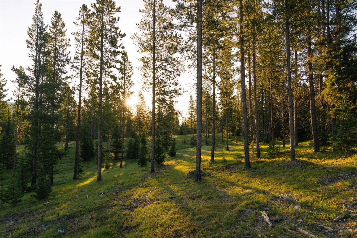 Lot 205 Outlook Trail Property Photo 20