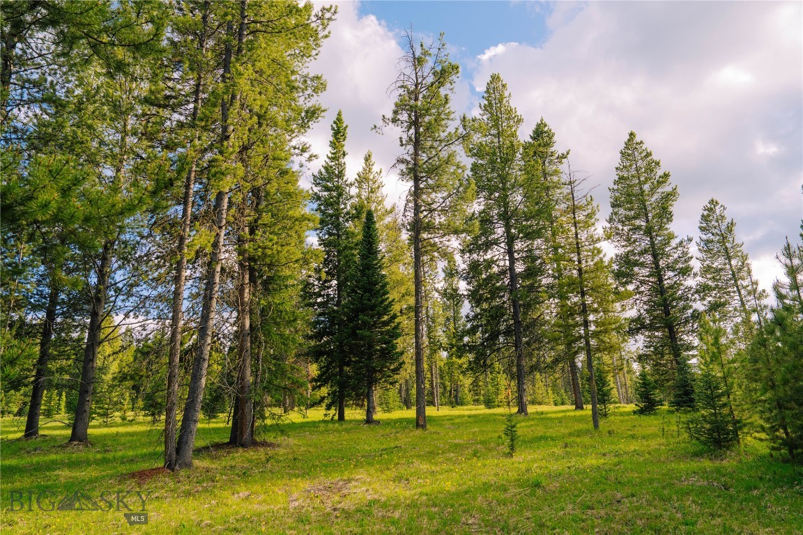 Lot 205 Outlook Trail Property Photo 21