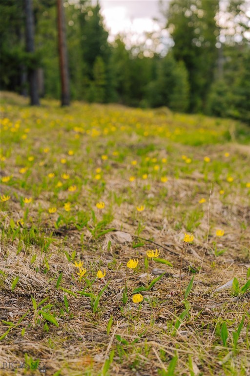 Lot 205 Outlook Trail Property Photo 23