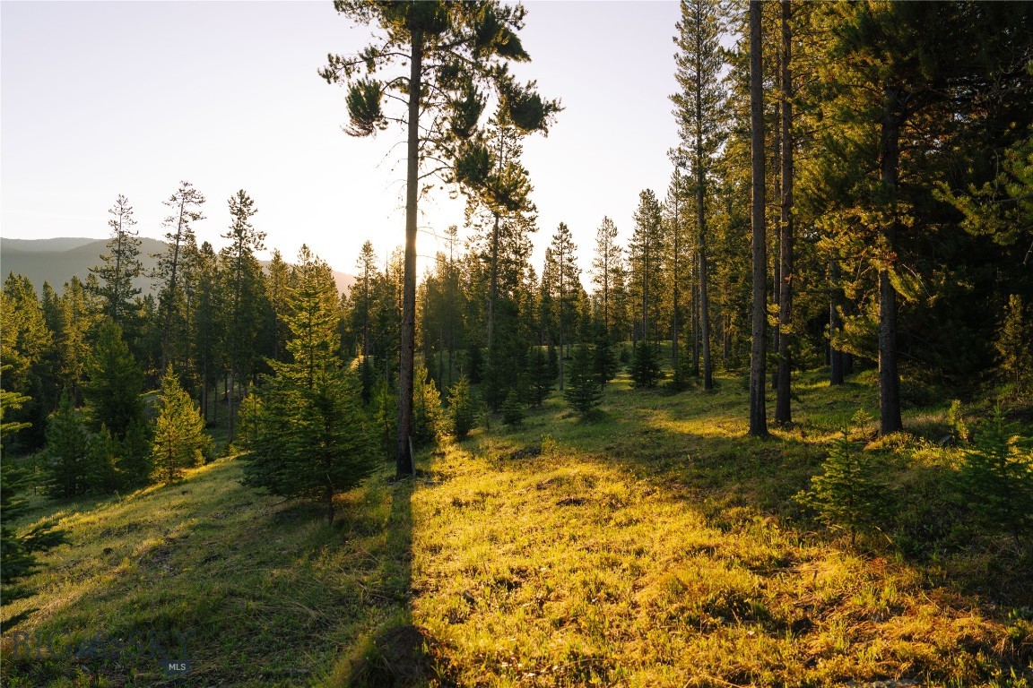 Lot 205 Outlook Trail Property Photo 27