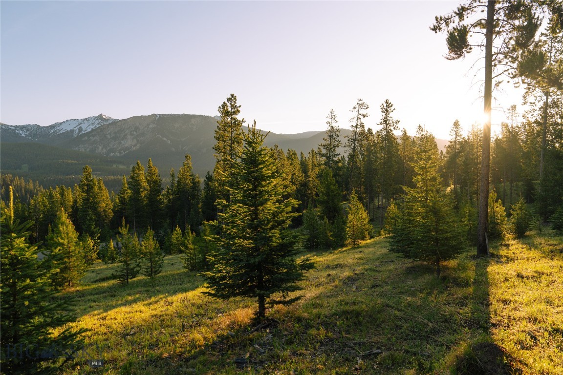 Lot 205 Outlook Trail Property Photo 28