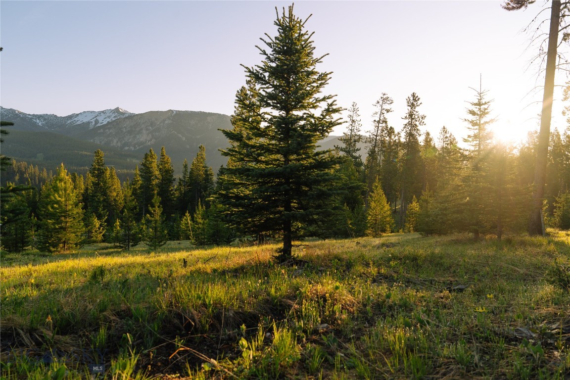 Lot 205 Outlook Trail Property Photo 29