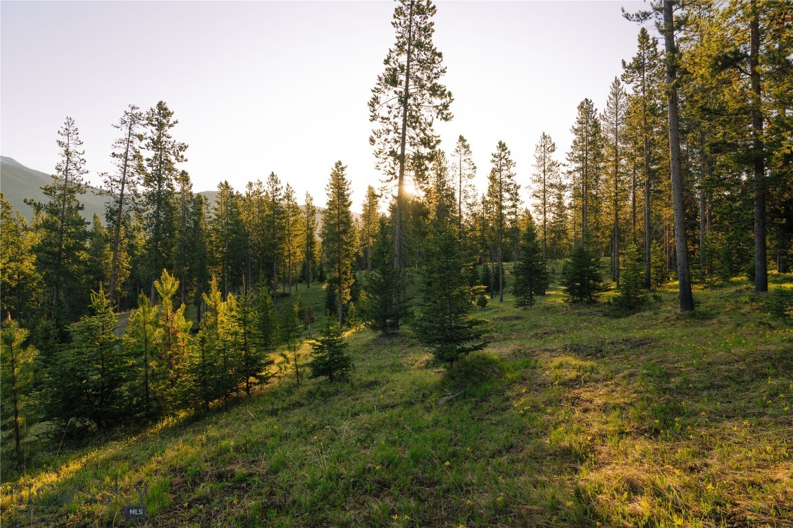Lot 205 Outlook Trail Property Photo 30