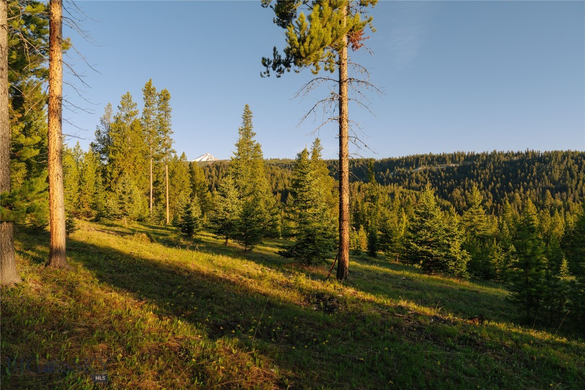 Lot 205 Outlook Trail Property Photo 31