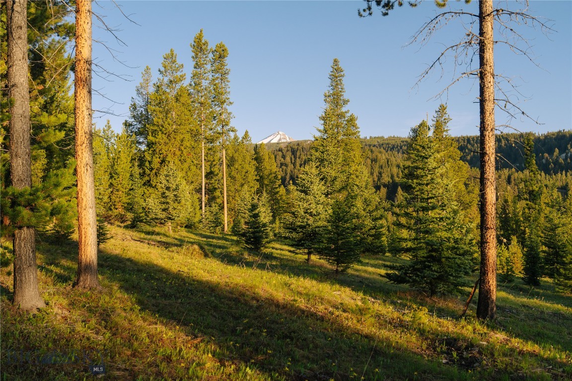 Lot 205 Outlook Trail Property Photo 32