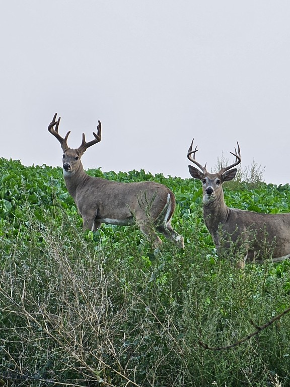 Tbd 147a Property Photo 10