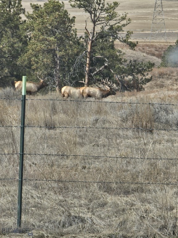 Tbd 147a Property Photo 33