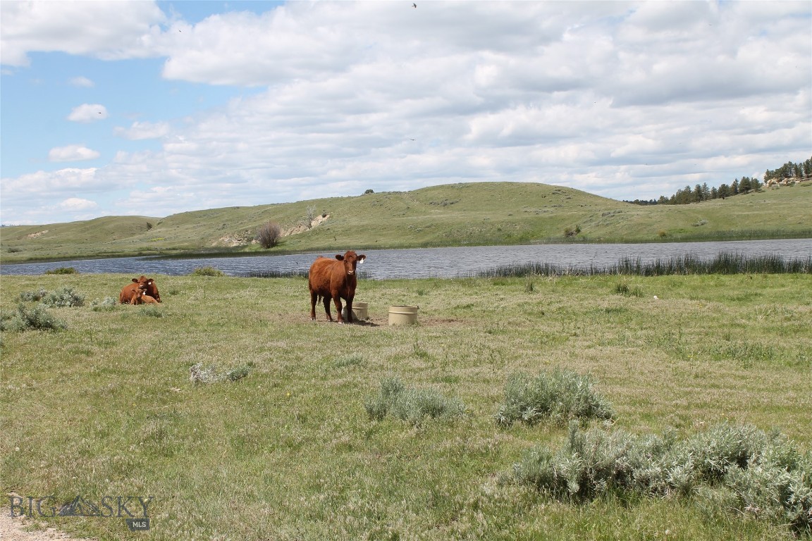 Tbd 147a Property Photo 52