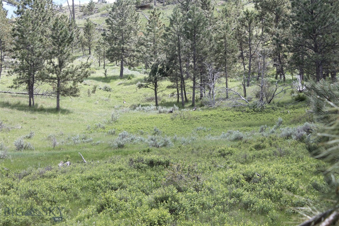 Tbd 147a Property Photo 62