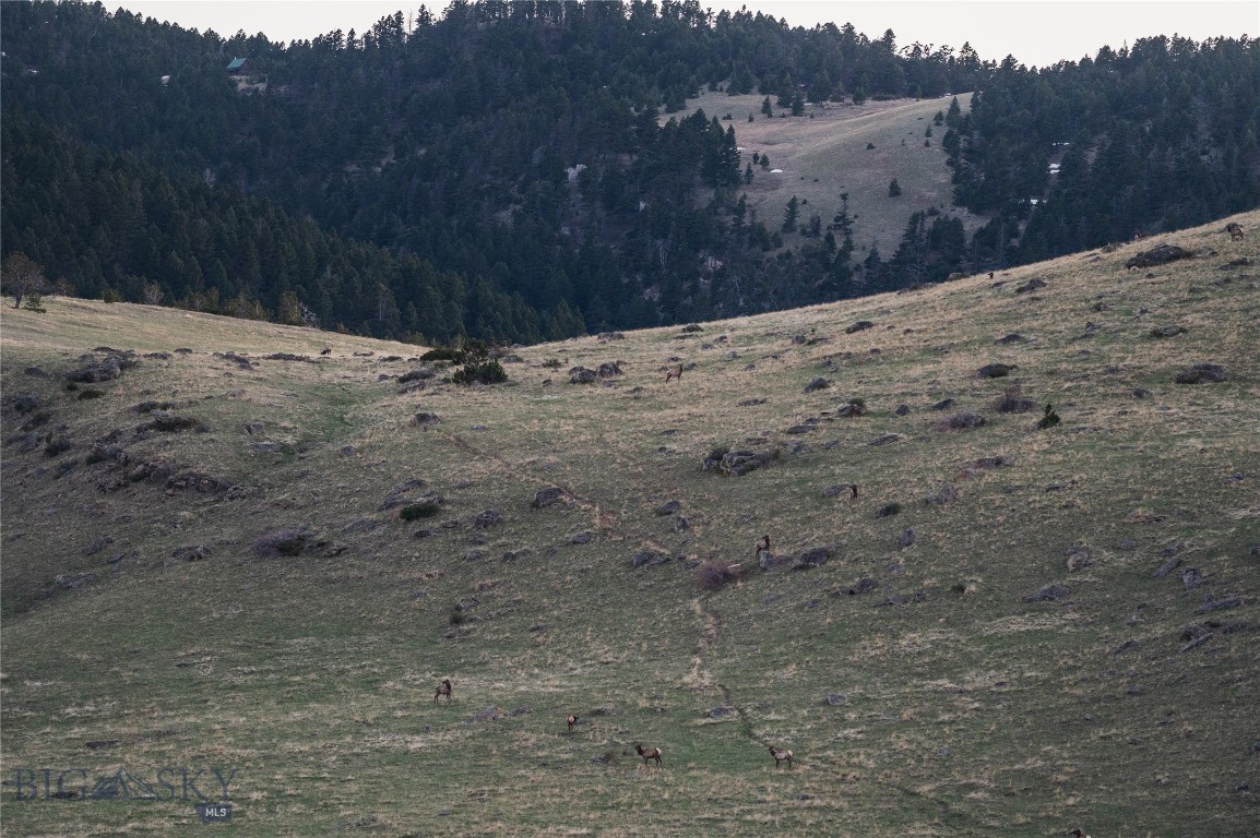 Tbd Livingston Peak Road Property Photo