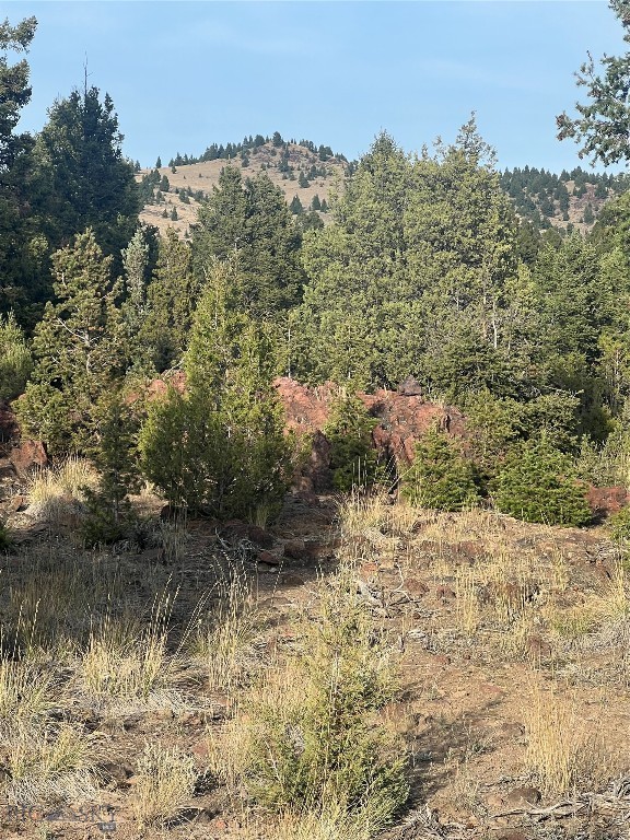 Tbd Lookout Trail Property Photo 40