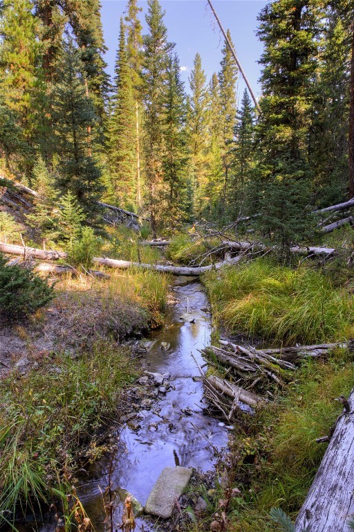 208 Outlook Trail Property Photo 6