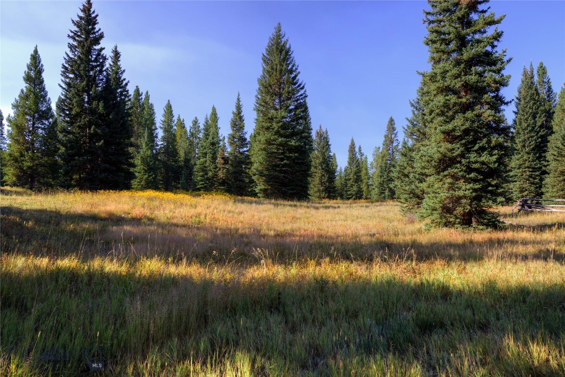 208 Outlook Trail Property Photo 10