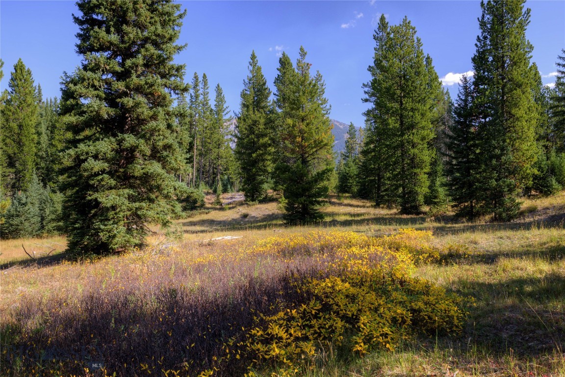 208 Outlook Trail Property Photo 13