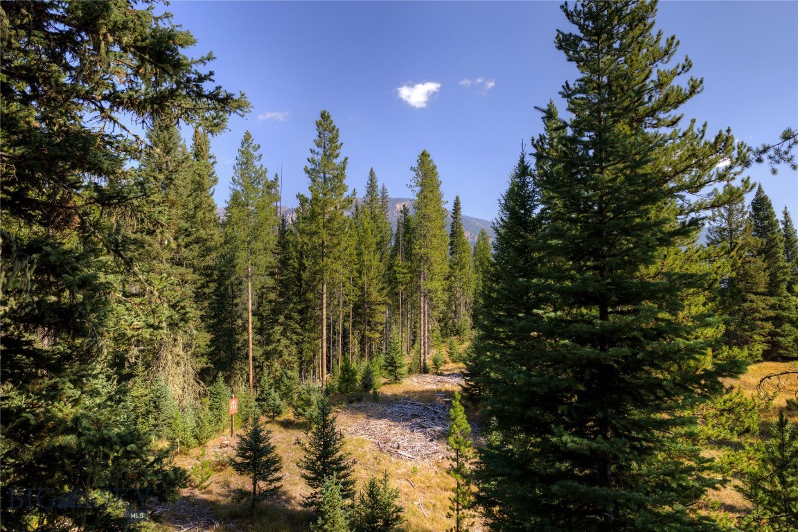 208 Outlook Trail Property Photo 14