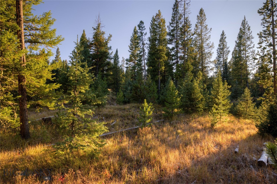 208 Outlook Trail Property Photo 15