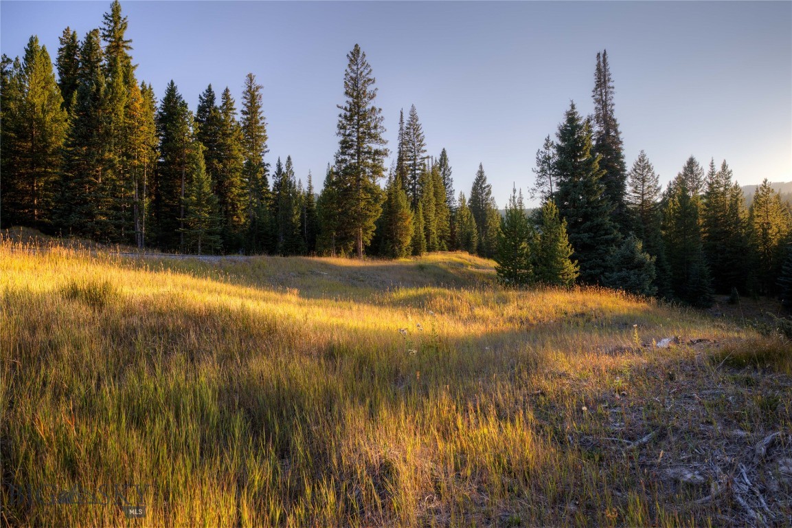 208 Outlook Trail Property Photo 16