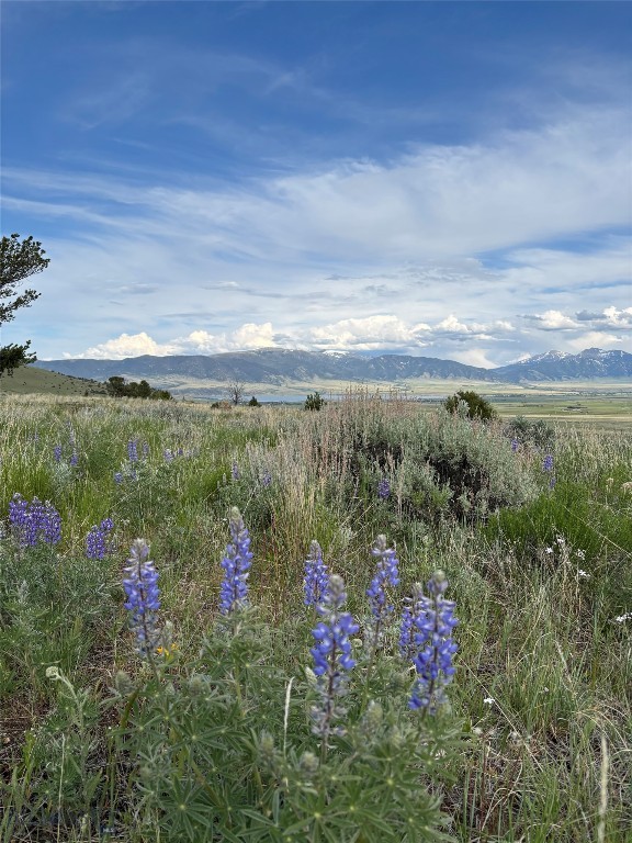 Lot 12 Lookout Trail Trail Property Photo 7