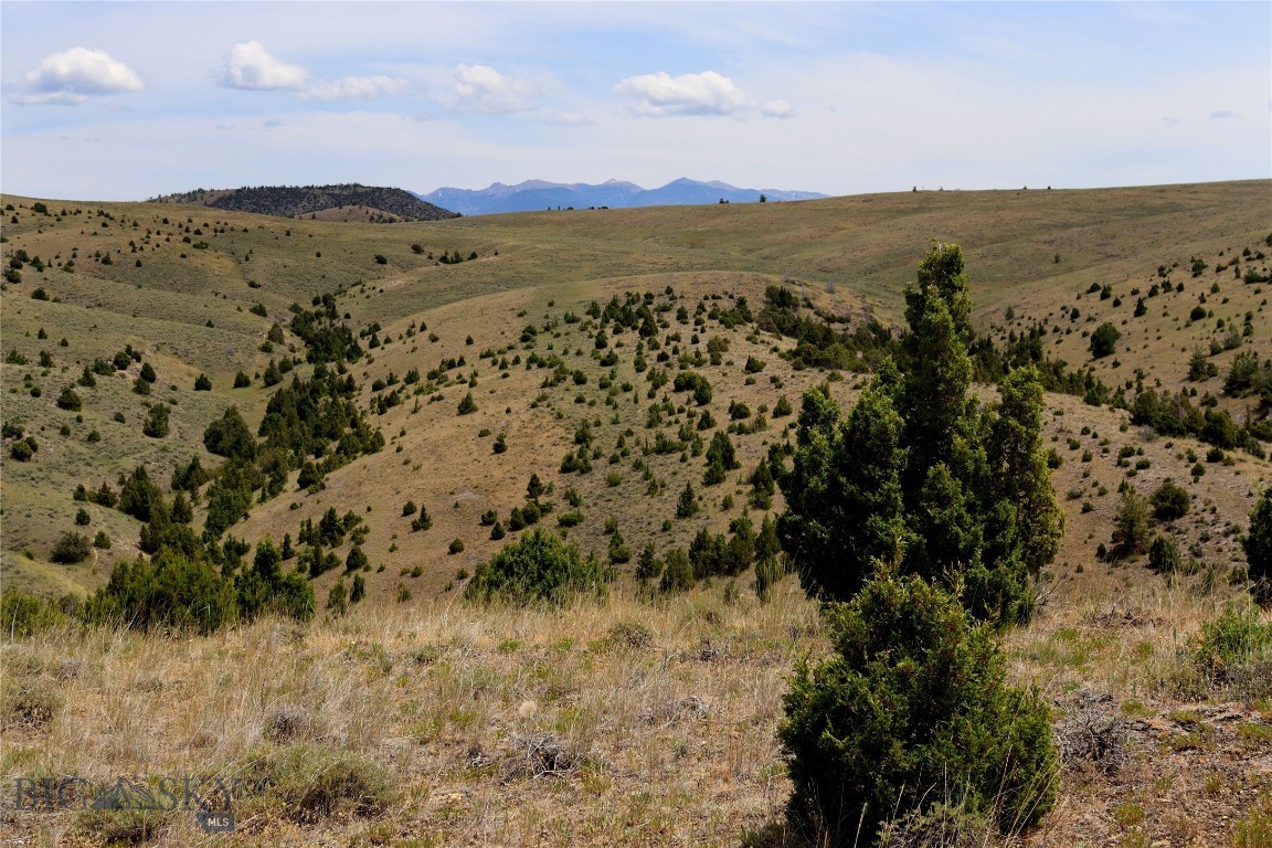 Lot 235 E Reservoir Cutoff Road Property Photo 1