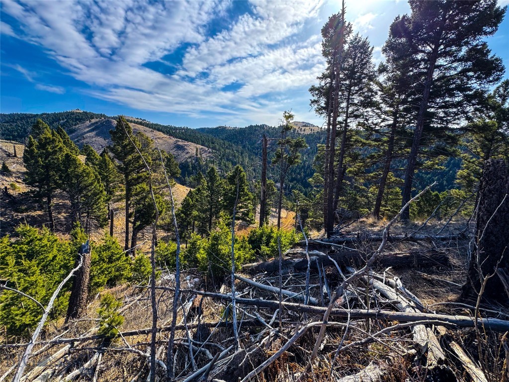Tbd (31.2 +/- Ac) High Ore Road Property Photo 1