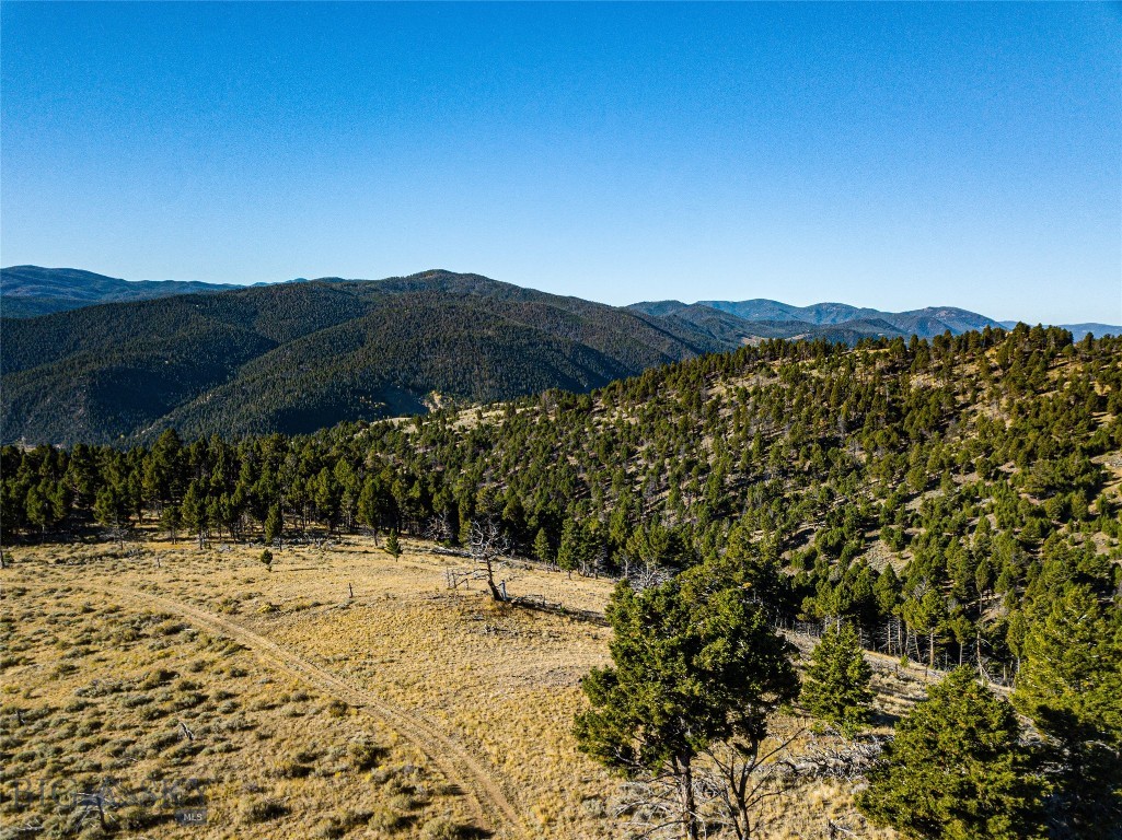 Tbd (40.1 +/- Ac) High Ore Road Property Photo 1