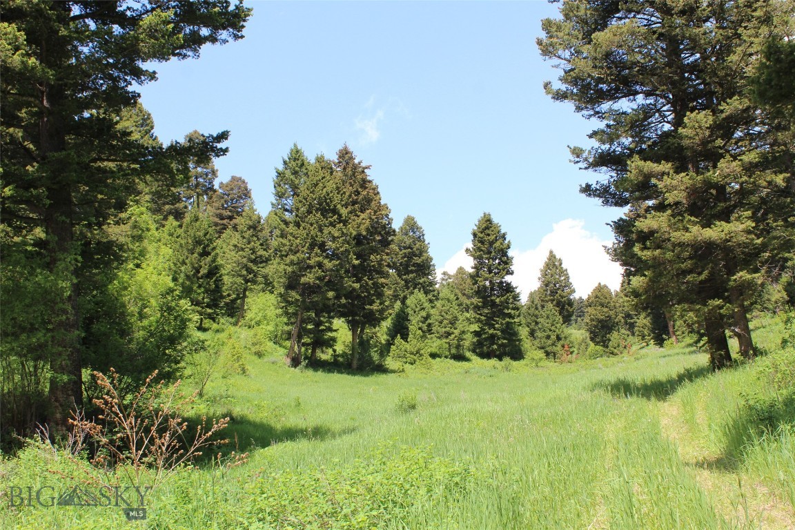 14815 Pony Creek Property Photo 1