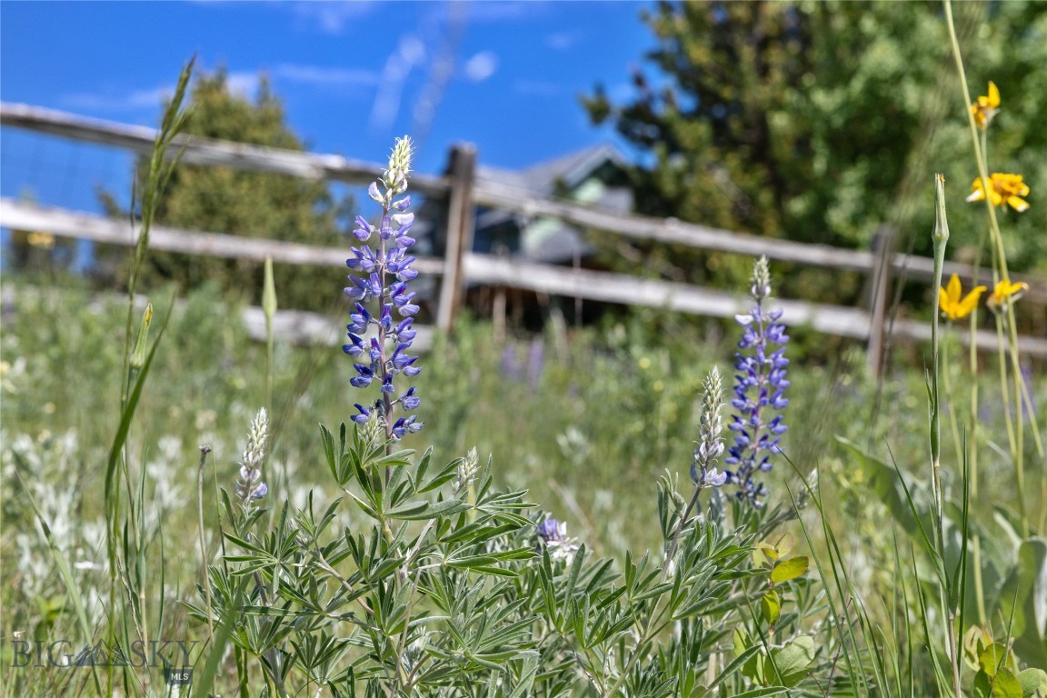 260 Painted Hills Road Property Photo 68