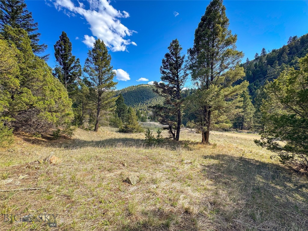 Tbd (28.6+/- Acres) High Ore Road Property Photo 1