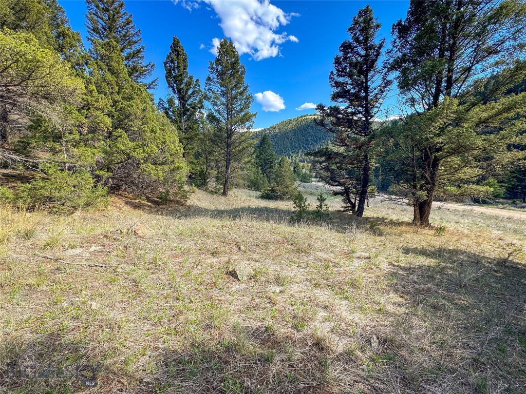 Tbd (28.6+/- Acres) High Ore Road Property Photo 2