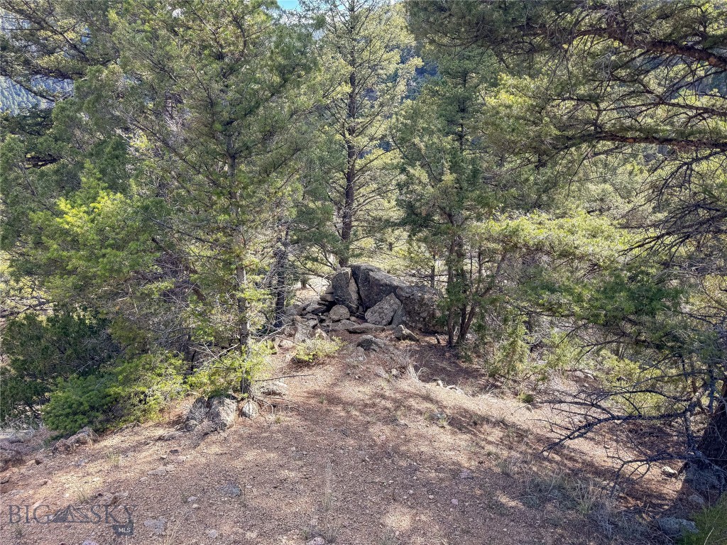 Tbd (28.6+/- Acres) High Ore Road Property Photo 5