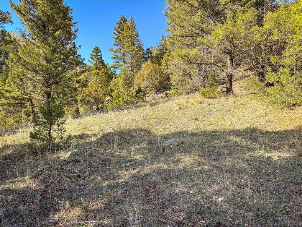 Tbd (28.6+/- Acres) High Ore Road Property Photo 8