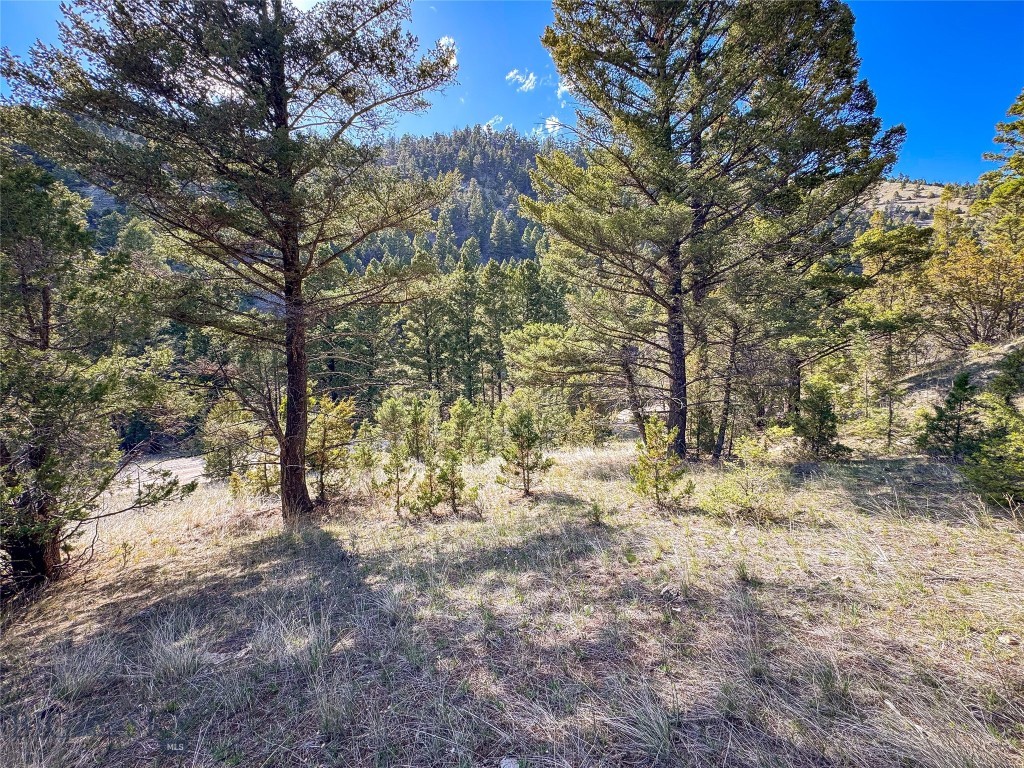 Tbd (28.6+/- Acres) High Ore Road Property Photo 9