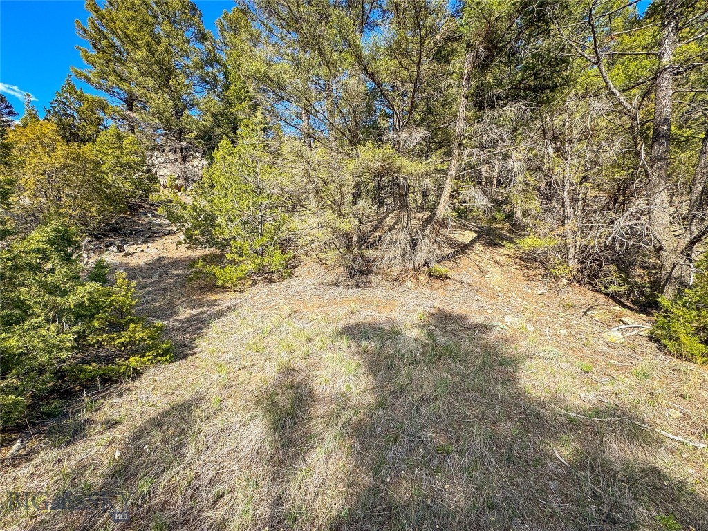 Tbd (28.6+/- Acres) High Ore Road Property Photo 10