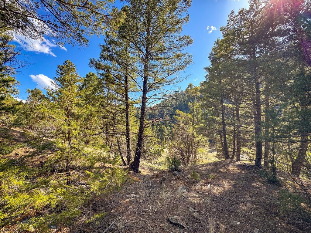 Tbd (28.6+/- Acres) High Ore Road Property Photo 11