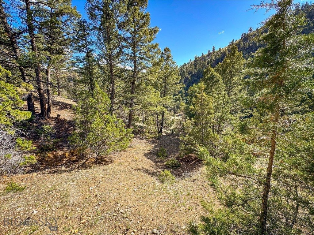 Tbd (28.6+/- Acres) High Ore Road Property Photo 13