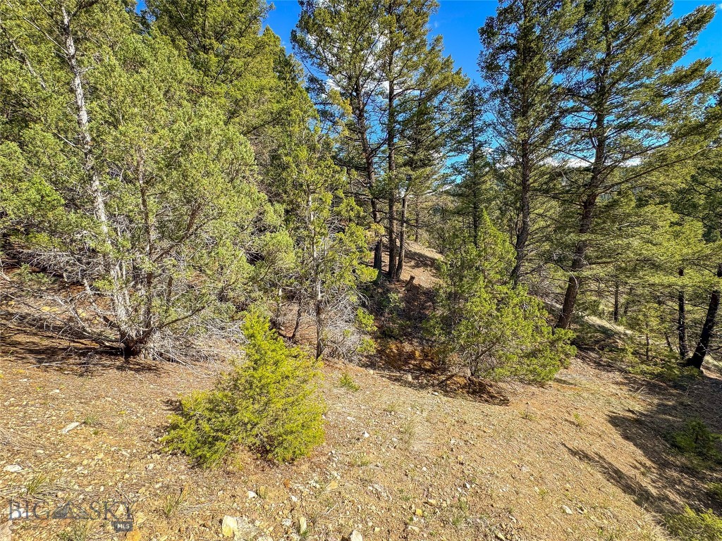 Tbd (28.6+/- Acres) High Ore Road Property Photo 14