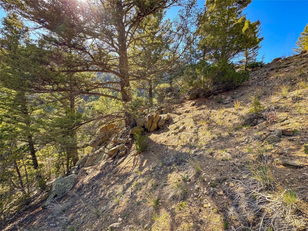 Tbd (28.6+/- Acres) High Ore Road Property Photo 15