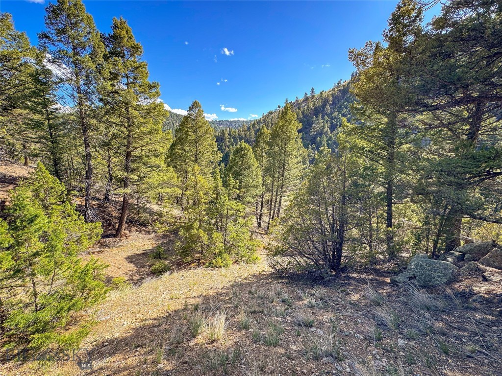 Tbd (28.6+/- Acres) High Ore Road Property Photo 16
