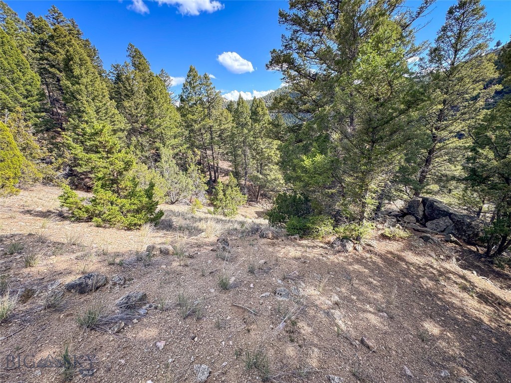 Tbd (28.6+/- Acres) High Ore Road Property Photo 17