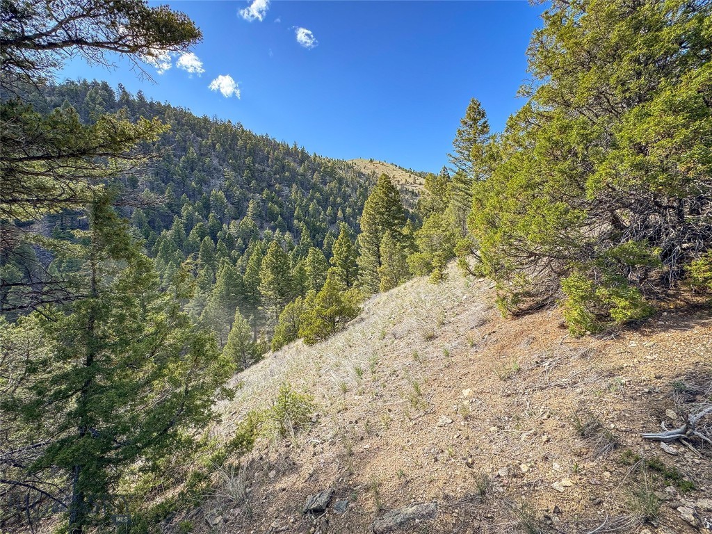 Tbd (28.6+/- Acres) High Ore Road Property Photo 19
