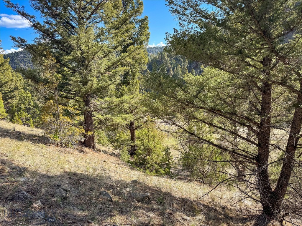 Tbd (28.6+/- Acres) High Ore Road Property Photo 20