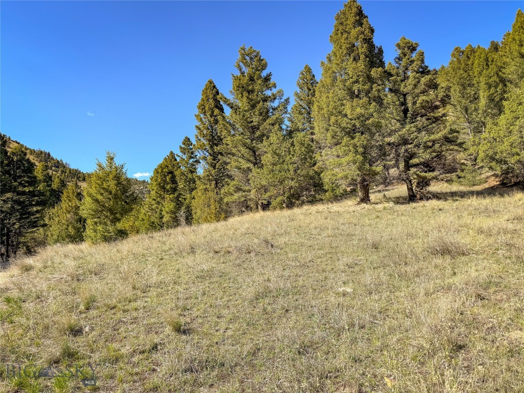 Tbd (28.6+/- Acres) High Ore Road Property Photo 22
