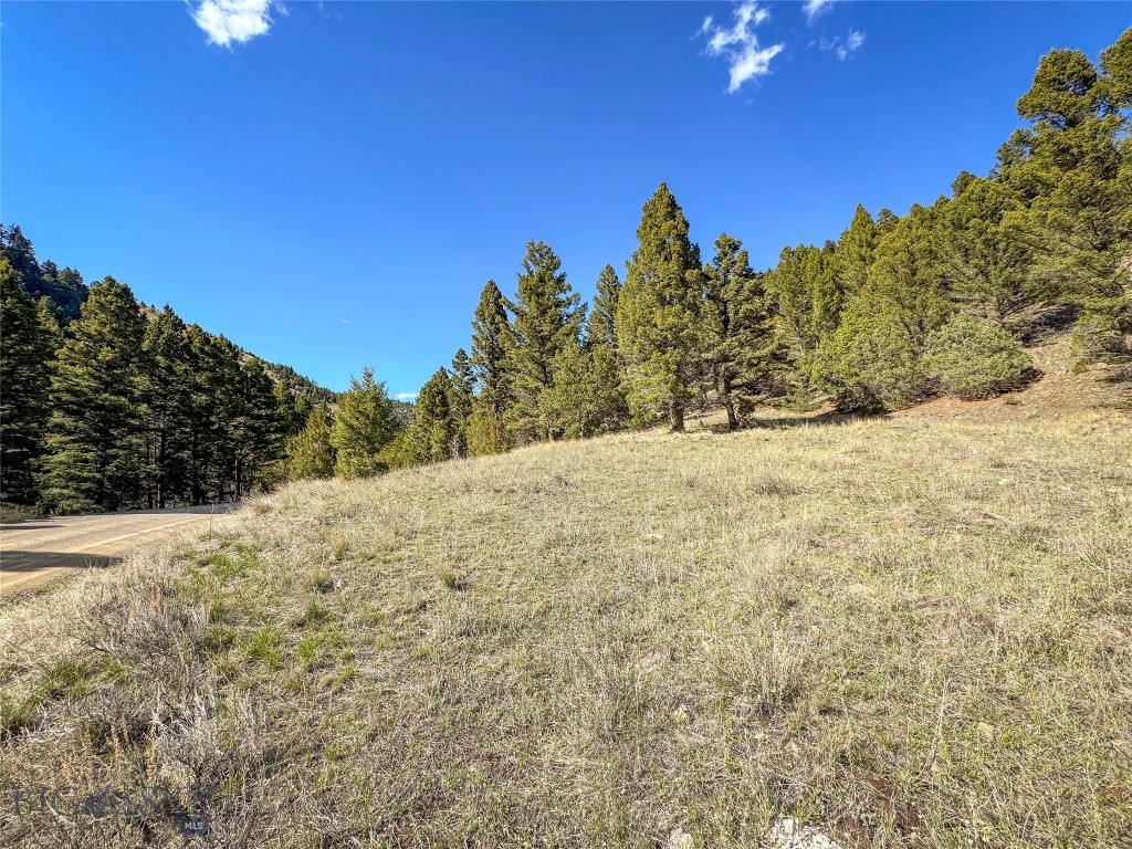 Tbd (28.6+/- Acres) High Ore Road Property Photo 23