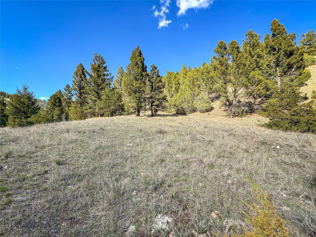 Tbd (28.6+/- Acres) High Ore Road Property Photo 24